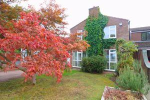 Photo 11- click for photo gallery